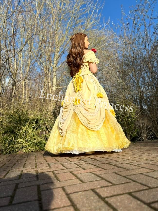 Belle Inspired (Beauty & The Beast) Dress