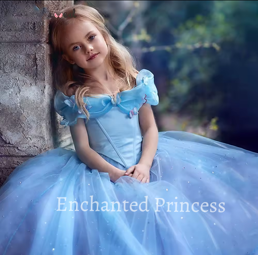 Cinderella Inspired Girls Dress