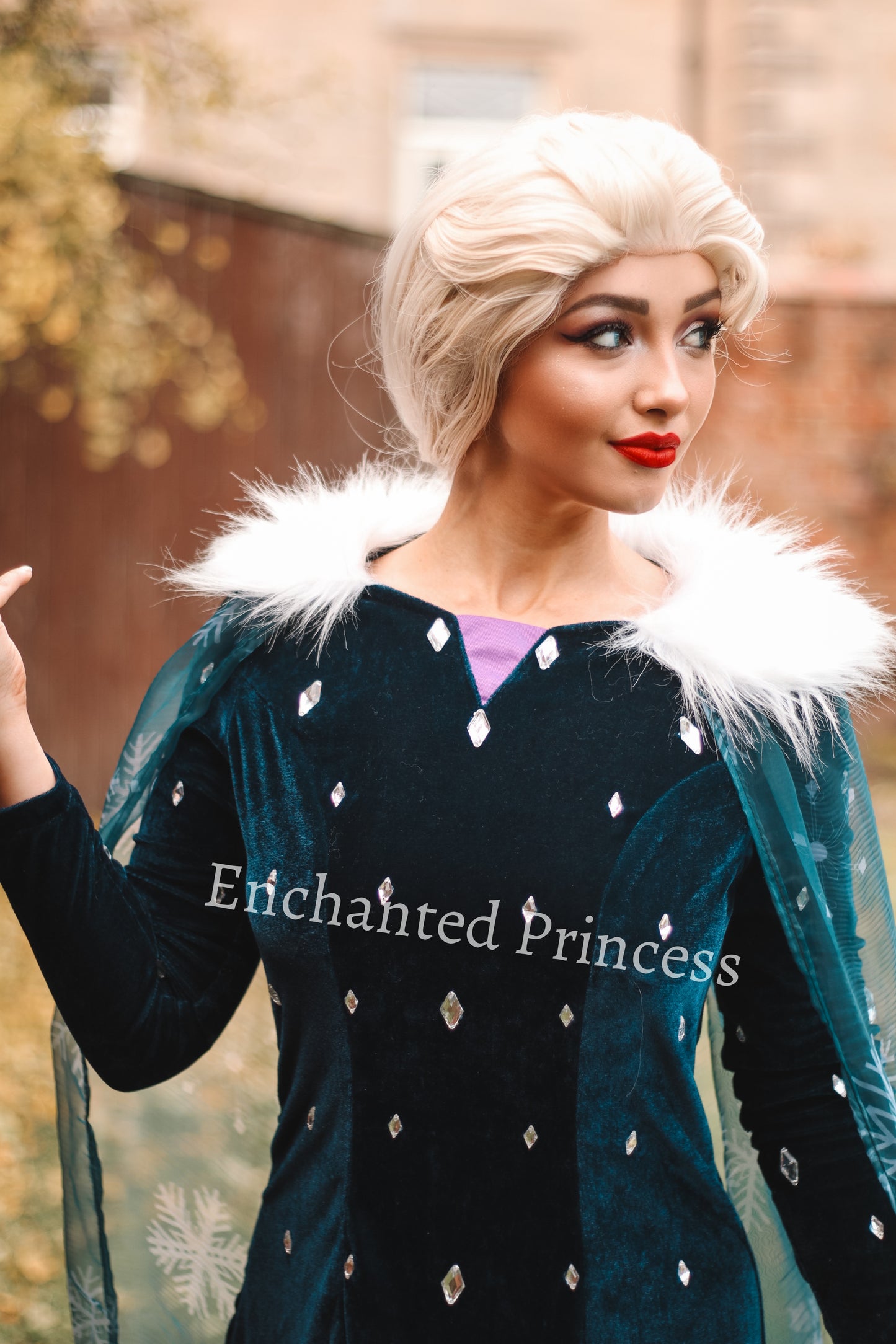 Elsa Christmas Dress - Frozen Inspired Costume