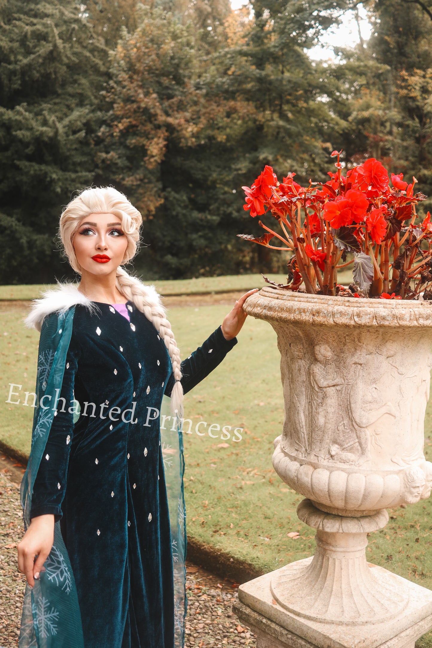 Elsa Christmas Dress - Frozen Inspired Costume