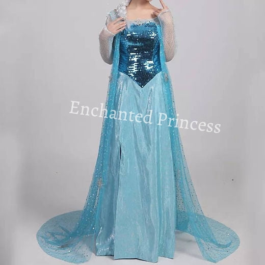 Frozen 1 Elsa Dress