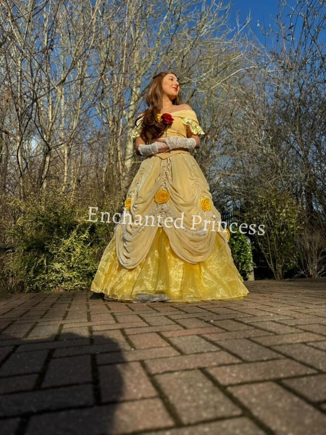 Belle Inspired (Beauty & The Beast) Dress
