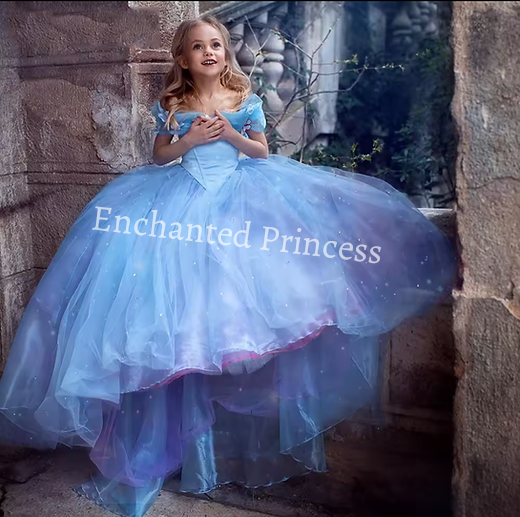 Cinderella Inspired Girls Dress