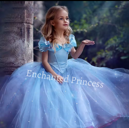 Cinderella Inspired Girls Dress