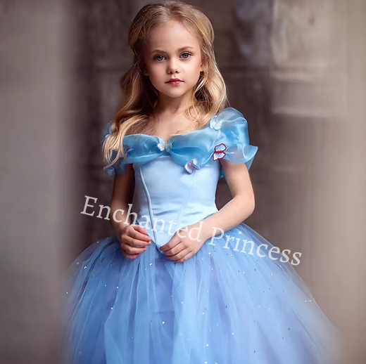 Cinderella Inspired Girls Dress